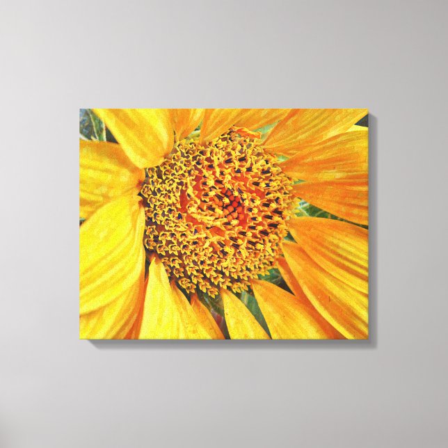 Yellow Sunflower Canvas Art Print (Front)