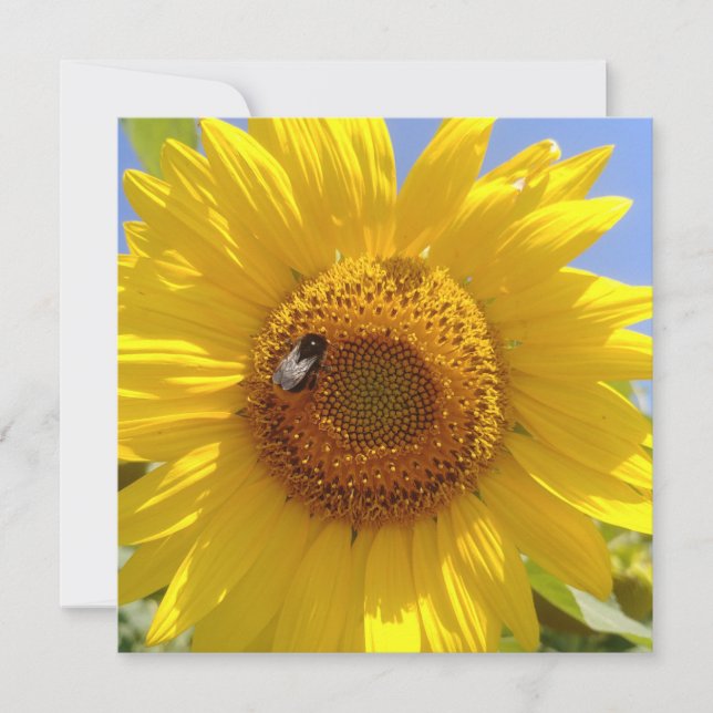 Yellow Sunflower Card (Front)