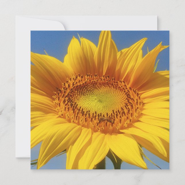 Yellow Sunflower Card (Front)