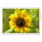 Yellow Sunflower Card (Front Horizontal)