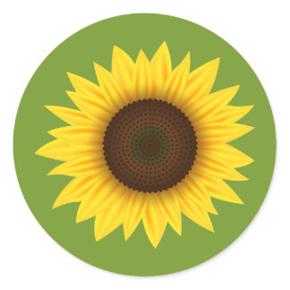 Yellow Sunflower Cartoon Illustration On Green Classic Round Sticker