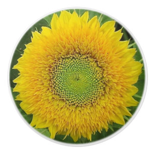 Yellow Sunflower Ceramic Knob