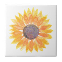 Yellow Sunflower
