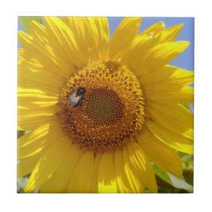 Yellow Sunflower Ceramic Tile