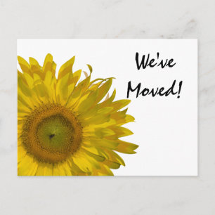 Yellow Sunflower Change of Address Announcement