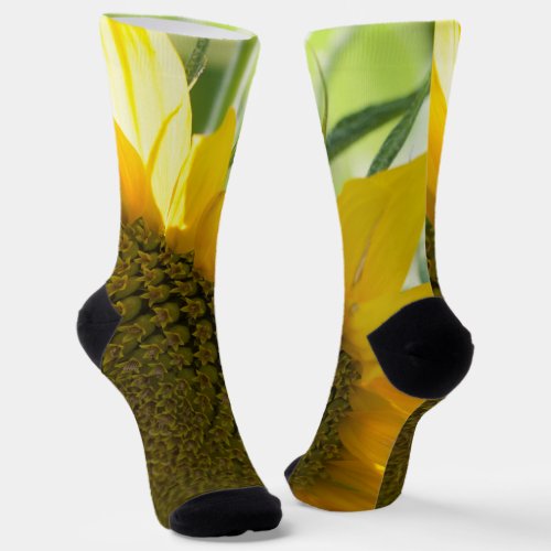 yellow sunflower close up socks