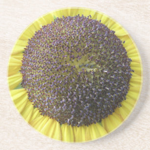 Yellow Sunflower Coasters