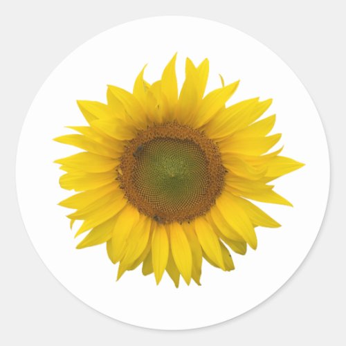 Yellow Sunflower Country Rustic Classic Round Sticker