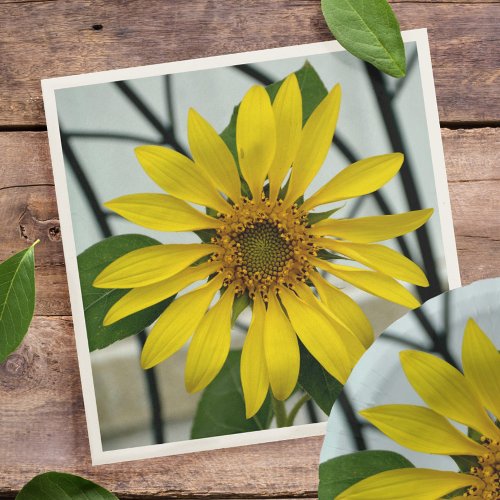 Yellow Sunflower Delicate Botanical Floral Napkins