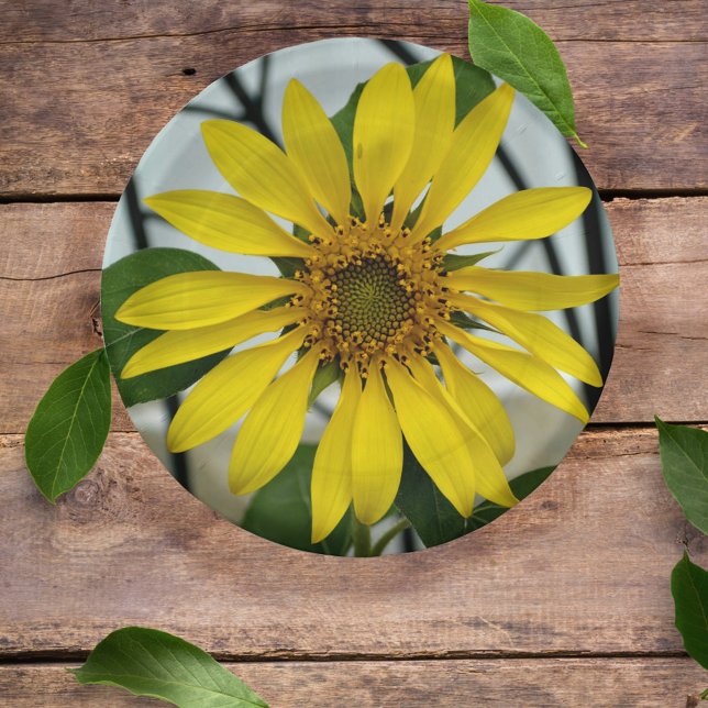 Yellow Sunflower Delicate Botanical Floral Paper Plates (Creator Uploaded)