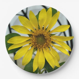 Yellow Sunflower Delicate Botanical Floral