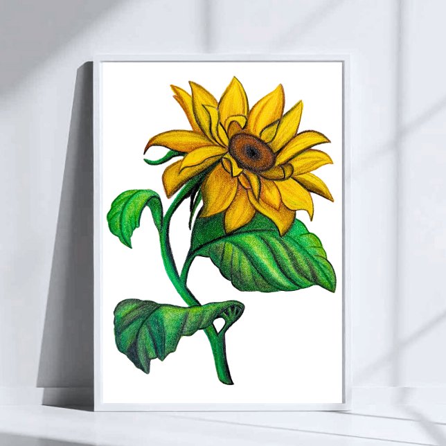 Yellow Sunflower Drawing Colored Pencil Art Poster (Creator Uploaded)