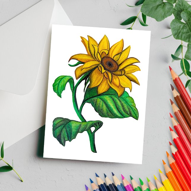 Yellow Sunflower Drawing Colored Pencil Postcard (Creator Uploaded)