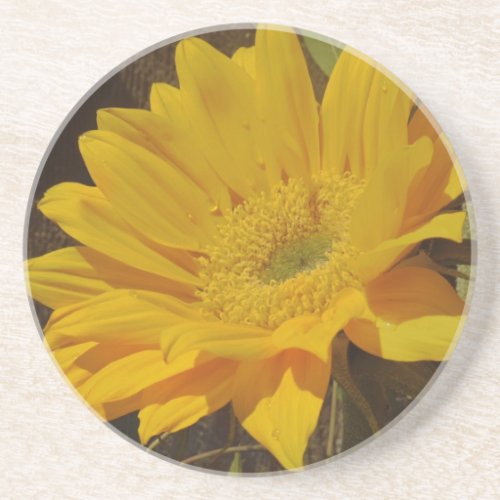 Yellow Sunflower Drink Coaster