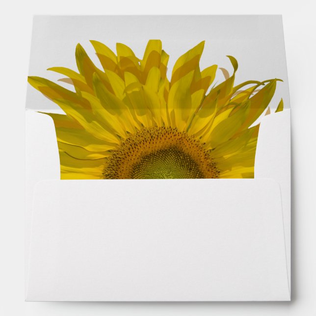 Yellow Sunflower Envelope (Back (Bottom))