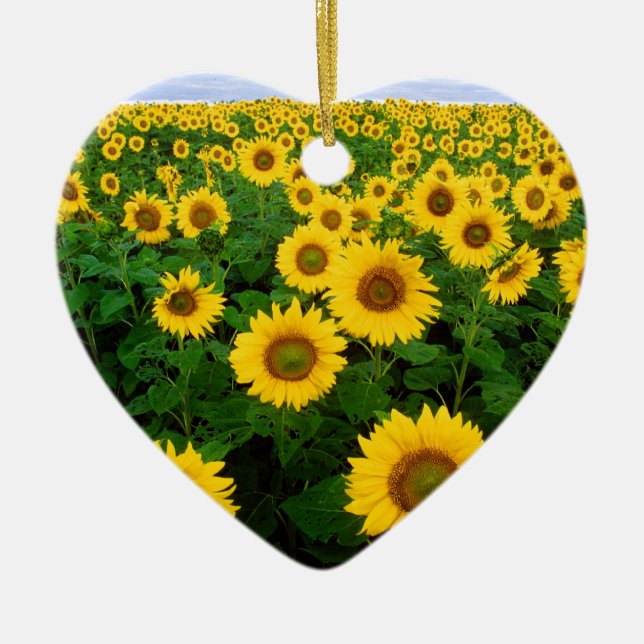 Yellow Sunflower Field Blue Sky Ceramic Ornament (Front)