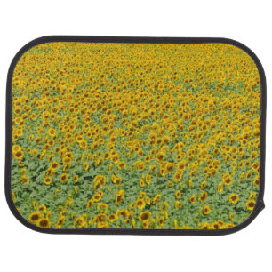 Yellow Sunflower Field Car Floor Mat