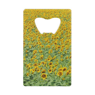 Yellow Sunflower Field Credit Card Bottle Opener