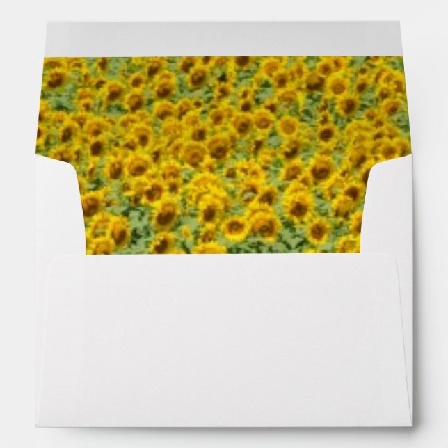 Yellow Sunflower Field Envelope (Back (Bottom))