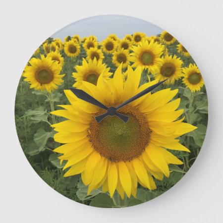 Yellow Sunflower Field Harvest Clock