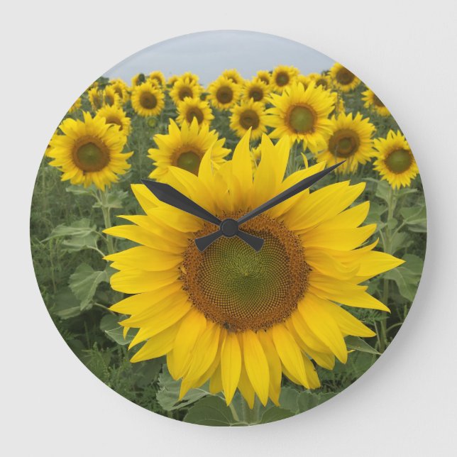 Yellow Sunflower Field Harvest Clock (Front)