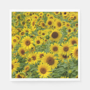 Yellow Sunflower Field Napkins