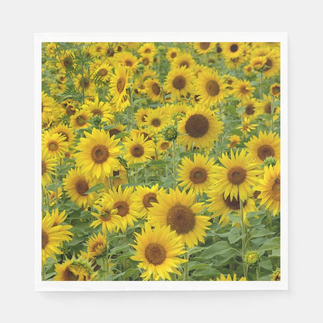 Yellow Sunflower Field Napkins (Front)