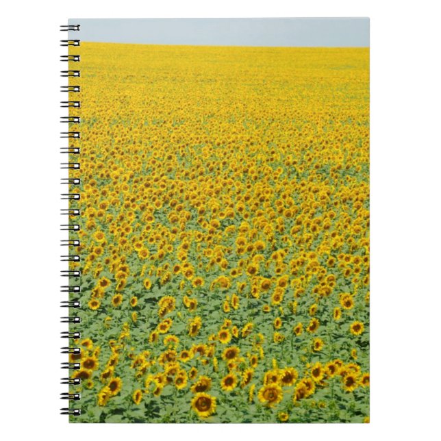 Yellow Sunflower Field Notebook (Front)