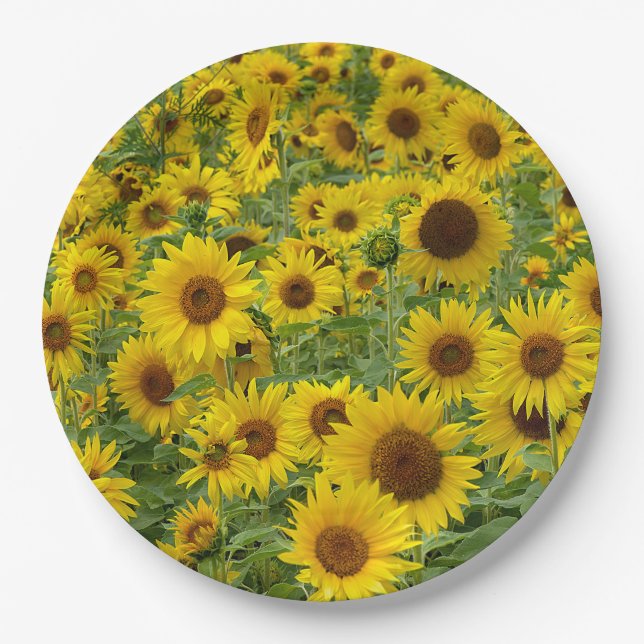 Yellow Sunflower Field Paper Plates (Front)