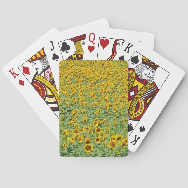 Yellow Sunflower Field Poker Cards (Back)