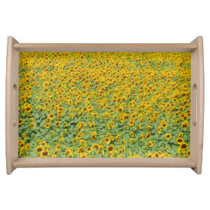 Yellow Sunflower Field Serving Tray
