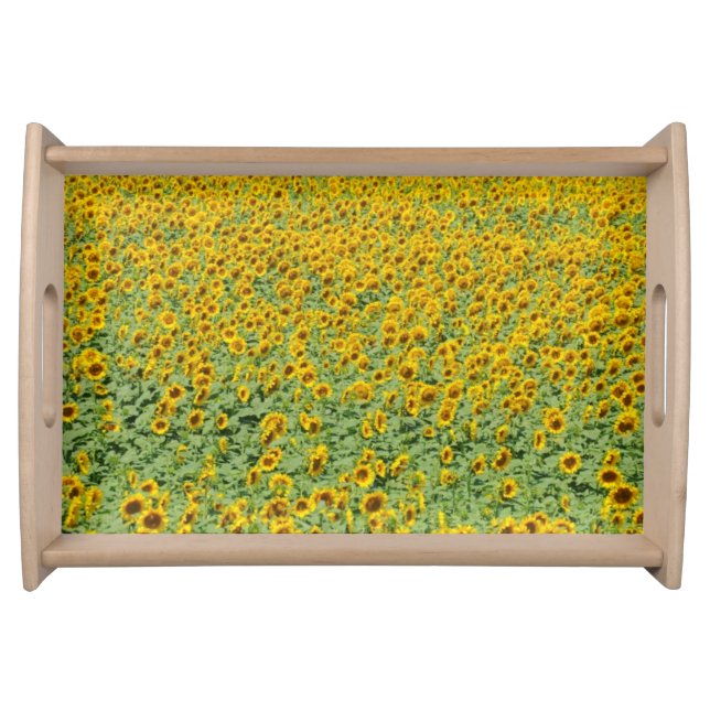 Yellow Sunflower Field Serving Tray (Front)