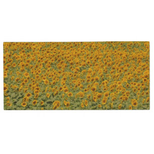 Yellow Sunflower Field Wood Flash Drive