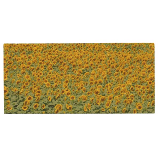 Yellow Sunflower Field Wood Flash Drive (Front)