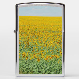 Yellow Sunflower Field Zippo Lighter