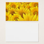 Yellow Sunflower Fields (Front & Back)