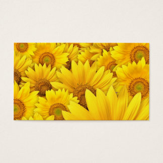 Yellow Sunflower Fields