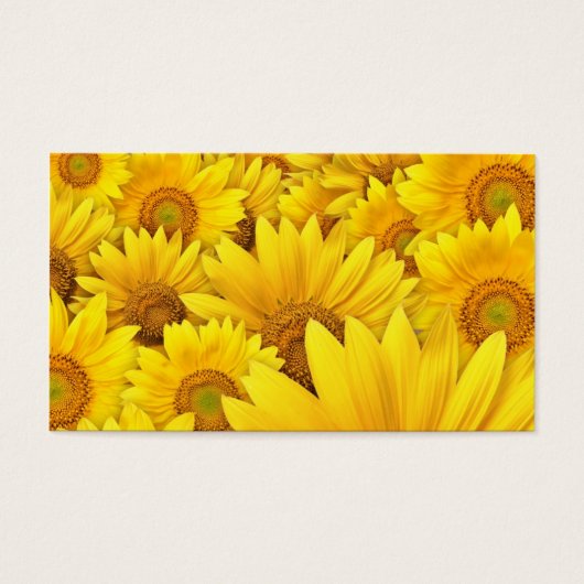 Yellow Sunflower Fields (Front)