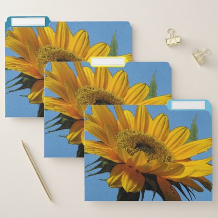 Yellow Sunflower File Folders