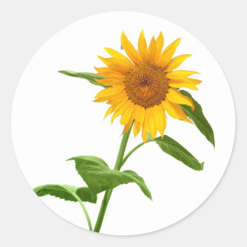 Yellow Sunflower Floral Stickers