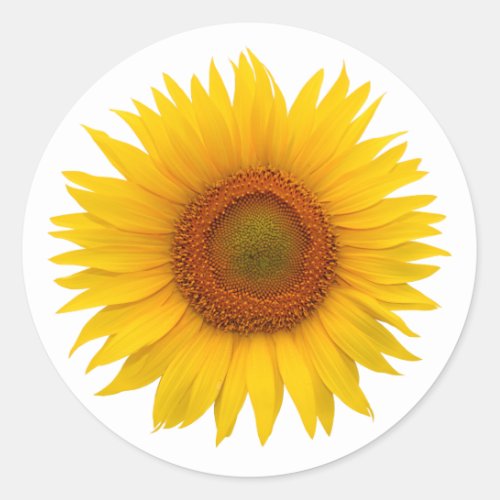 Yellow Sunflower Flower Envelope Seal Stickers