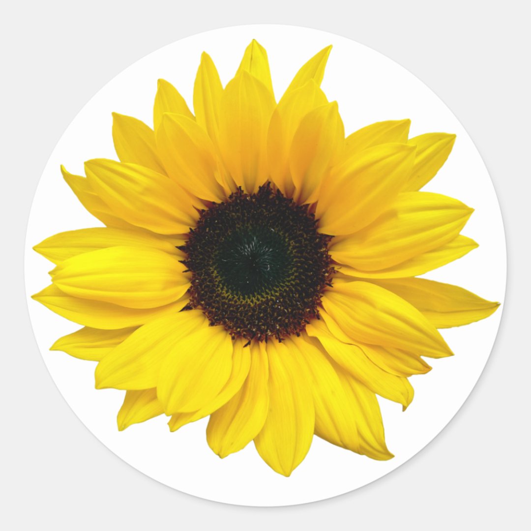 Yellow Sunflower Flower Envelope Seal Stickers Zazzle