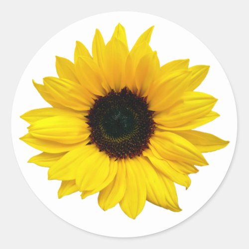 Yellow Sunflower Flower Envelope Seal Stickers