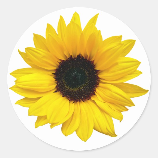 Yellow Sunflower Flower Envelope Seal Stickers (Front)