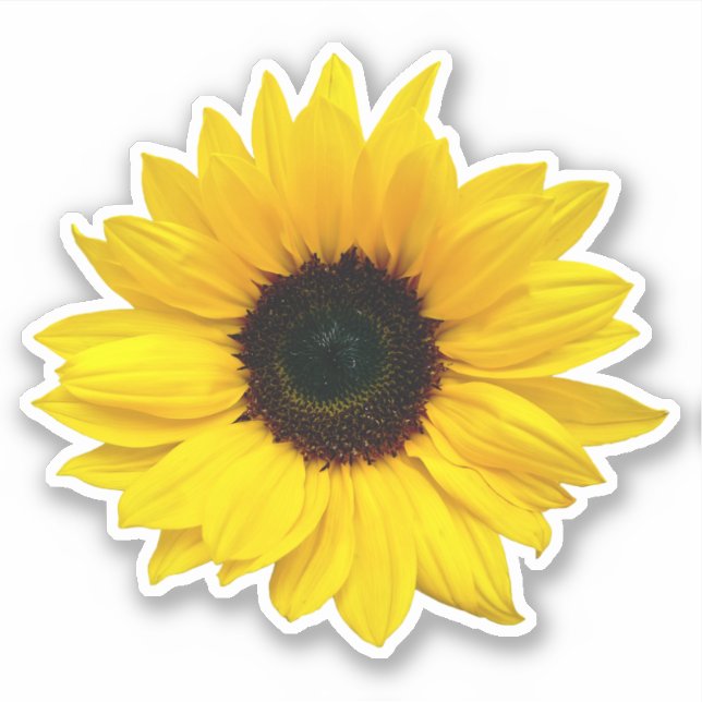 Yellow Sunflower Flower Kiss-Cut Sticker (Front)