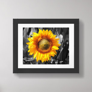 Yellow Sunflower Framed Art