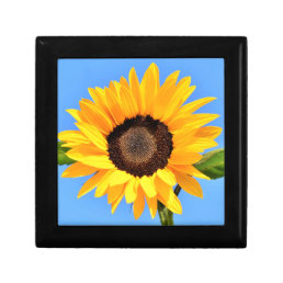 Yellow Sunflower Gift Box Summer Blue Sky