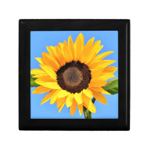 Yellow Sunflower Gift Box Summer Blue Sky