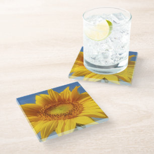 Yellow Sunflower Glass Coaster