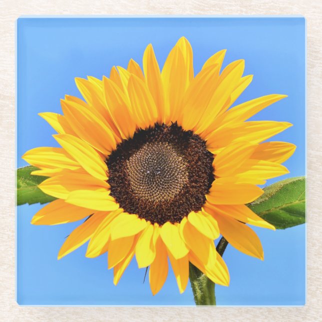 Yellow Sunflower Glass Coaster (Front)